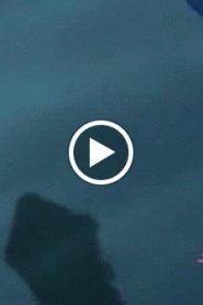 الطاقة الزرقاء الحلقة 22