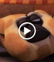 كونغ فو باندا الجزء الاول HD الحلقة 1