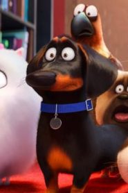 فيلم كرتون الحياة السرية للحيوانات الأليفة – The Secret Life of Pets مترجم عربي