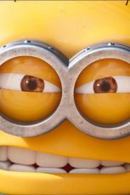 فيلم كرتون Mower Minions 2016 مترجم عربي