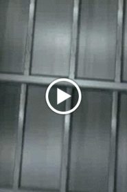 نشأة الآليين الحلقة 36