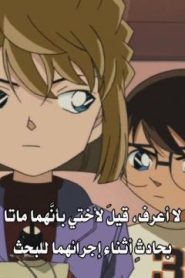 المحقق كونان مترجم الحلقة 315 مكان تحت أشعة الشمس