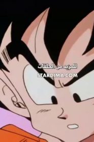 دراغون بول زد كاي الموسم الثالث الحلقة 29