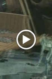 سر المقنع الحلقة 2