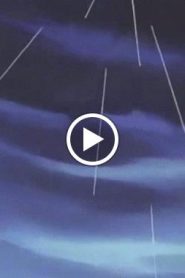 بوكيمون الجزء الاول – الحلقة 37