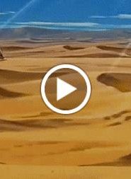 الطاقة الزرقاء الحلقة 8