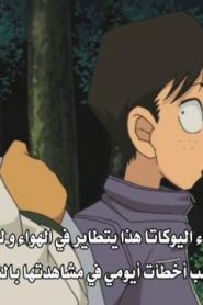 المحقق كونان مترجم الحلقة 349 حب، شبح، وميراث كبير (الجزء الثاني)