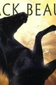 الفلم العائلي الجمال الأسمر black beauty مترجم عربي