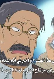 المحقق كونان مترجم الحلقة 752 قضية دعوة قط الكاليكو (الجزء الثاني)
