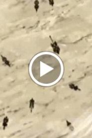نشأة الآليين الحلقة 22