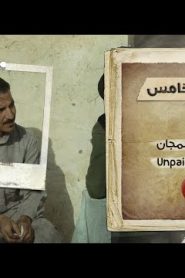 برنامج قلبي اطمأن الموسم الخامس الحلقة 2 مدرسون بالمجان | التعليم