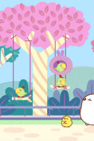 Molang: 4×8