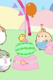 Molang: 4×4