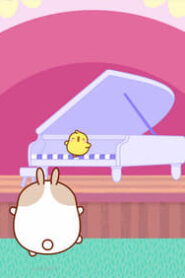 Molang: 4×10