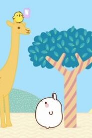 Molang: 4×11