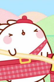 Molang: 4×7