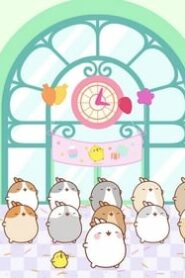 Molang: 2×52
