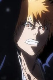Bleach: 2×40