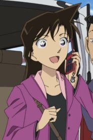 Case Closed: 1×1157