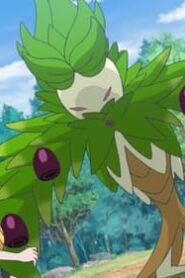 Pokémon Horizons: 1×11